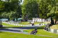 Lower Group Black Bikes